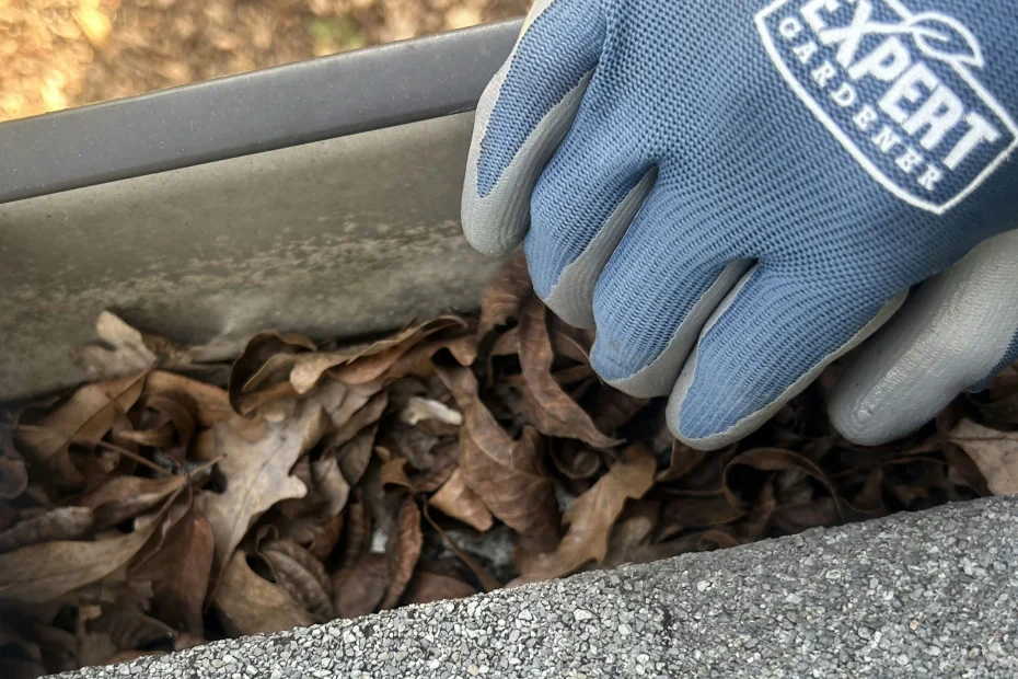 Gutter Cleaning Gretna