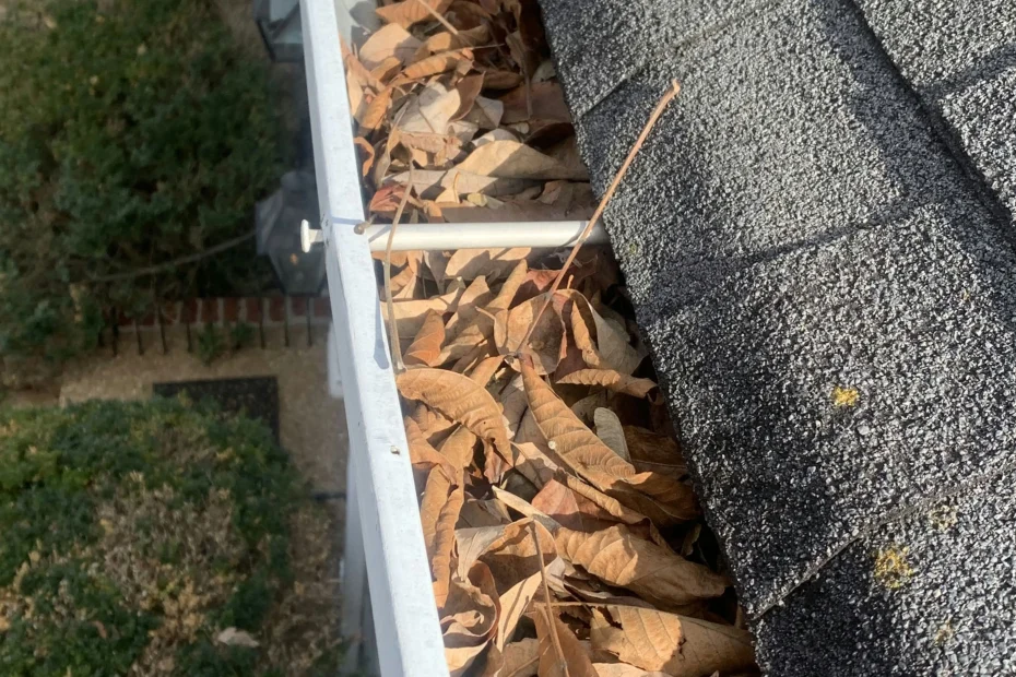 Gutter Cleaning Gretna